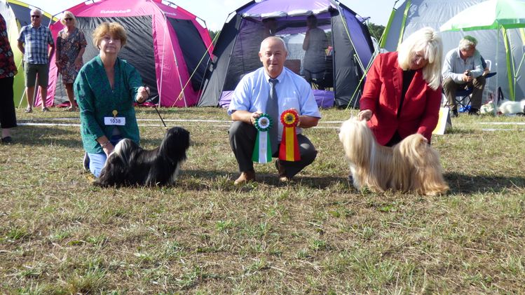 2019-09-01 Gotland Dog Show INT